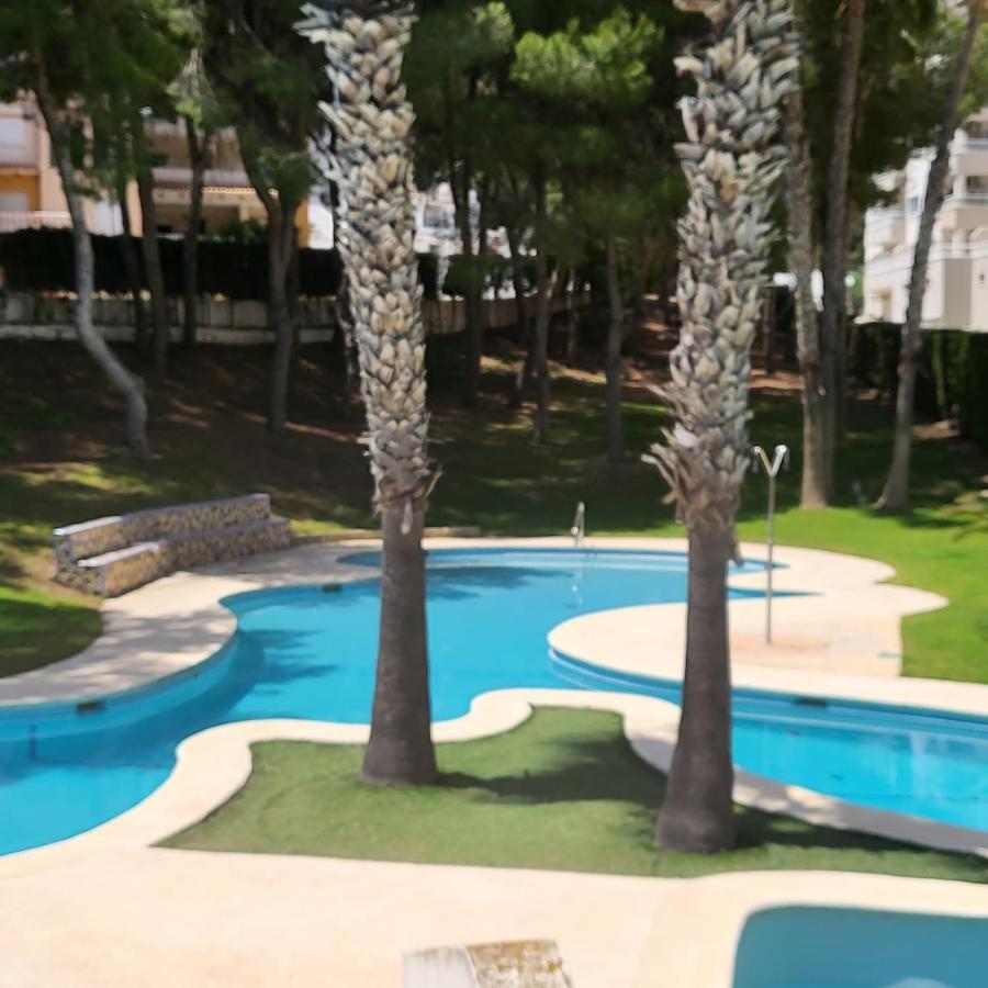 Apartamento Ines, Dehesa De Campoamor,900M From The Sea , Swimming Pool & Tennis Court Εξωτερικό φωτογραφία